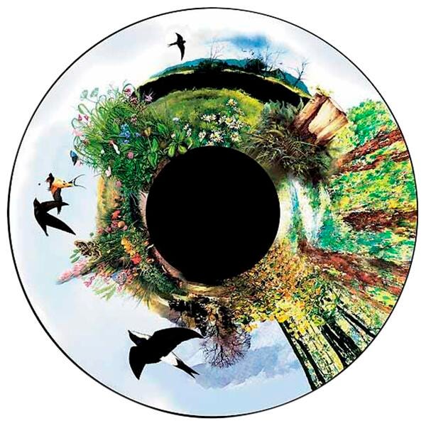 Image for Optikinetics 6-Inch Solar Effect Wheel, Wilderness from School Specialty
